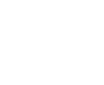 dollar icon